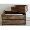Image 4 : LOT OF 2 - BELL'S COLD STORAGE & DEL MONTE PRUNES CRATES