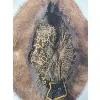 Image 5 : EATON MINK(?) FUR HAT W/ BOX