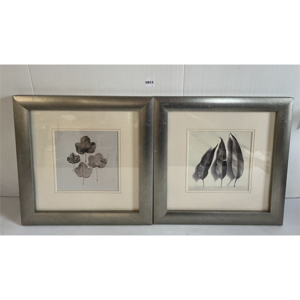 LOT OF 2 - LIJUE BLACK & WHITE FRAMED PRINTS 