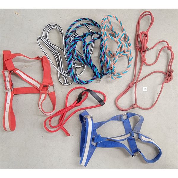 LOT OF 7 - NYLON HALTERS & LEADS