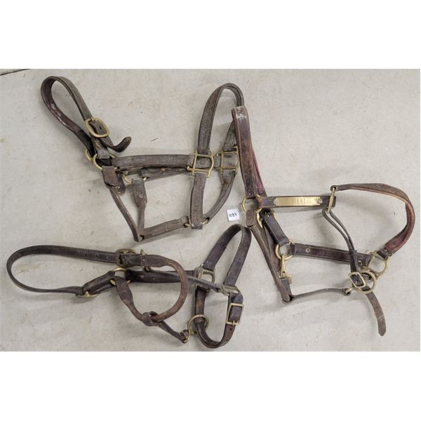 LOT OF 3 - LEATHER HALTERS