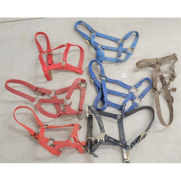 LOT OF 7 - NYLON HALTERS