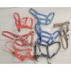 Image 1 : LOT OF 7 - NYLON HALTERS