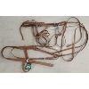Image 1 : LOT OF 3 - LEATHER HALTERS & BRIDLE