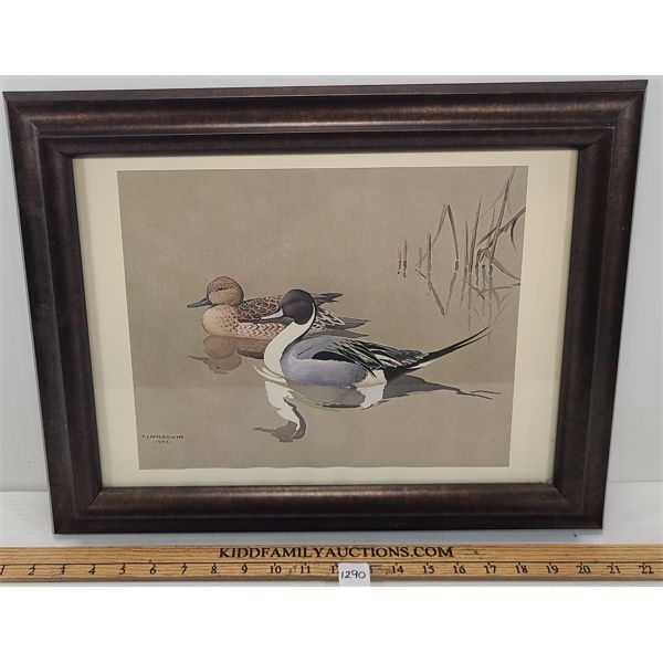 MALLARD DUCK SCENE BY FLANSDOWNE - 1957 - FRAMED PRINT 
