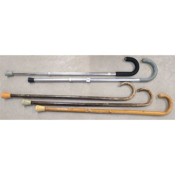 LOT OF 5 - CANES 