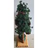 Image 4 : HOMESPUN CREATIONS CHRISTMAS TREE BEAR W/ BOX 