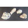 Image 3 : LOT OF 4 - LLADRO PORCELAIN POLAR BEAR FIGURINES 