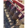 Image 9 : Kello-bilt Series 176, 12 ft breaking disc, 20-22" knotched blades, no hyd. Ram  SN. KB7787-24 (can 