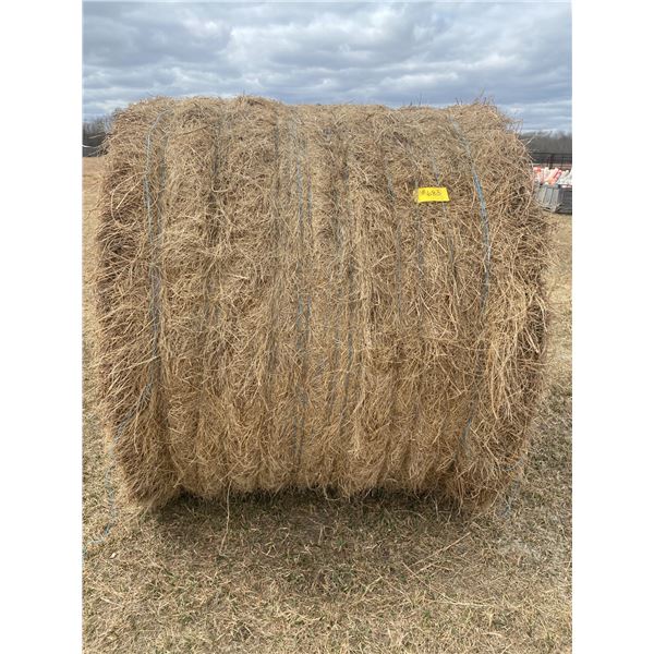 (so much each X 9) 9- Rd bales of 2023 mixed hay (Approx. 1400 pounds)