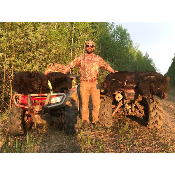 2025 - 6-DAY ALBERTA BLACK BEAR AND WOLF HUNT FOR ONE HUNTER (MUST BRING PAYING HUNTER)