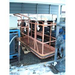 Large orange man basket (85)