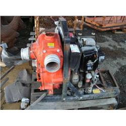 CHOICE on 2 water pumps (85)