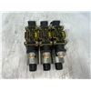 Image 3 : (3) Parker #D1VW004CNJG56 91 Hydraulic Valves
