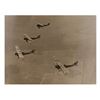 Image 4 : A GROUP OF WW1 AMERICAN BI-PLANE PHOTOS
