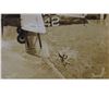 Image 5 : A GROUP OF WW1 AMERICAN BI-PLANE PHOTOS