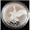Image 1 : US 2021 Type ll Proof American Silver Eagle Dollar OIB
