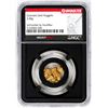 Image 1 : Lot of Colorado Gold Nuggets 3.00 Grams Total Weight NGC Vaultbox Unvaulted