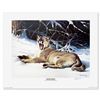 Image 1 : Rob MacIntosh "Winter Siesta" Limited Edition Lithograph on Paper