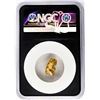 Image 2 : 4.43 Gram Yukon Gold Nugget NGC Vaultbox Unvaulted