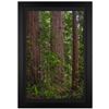 Image 1 : Jongas "Redwoods" Limited Edition Giclee on Canvas