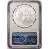 Image 2 : 2019-W $1 Burnished American Silver Eagle Coin NGC MS70