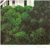 Image 2 : William Schlesinger (1915-2011) "Hillhouse" Limited Edition Serigraph on Paper