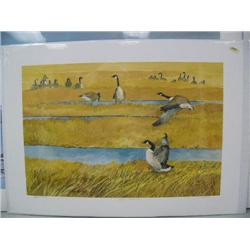 Print by Joe N Wald  "Potter Gathering 490/792  IS 13" x 19.5"  (22)