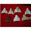 Image 1 : Lot of 7 Ivory Whales Tails Pendants (114)