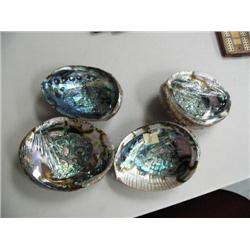 Lot of 4 abalone shells (2)