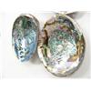 Image 2 : Lot of 4 abalone shells (2)