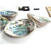 Image 3 : Lot of 4 abalone shells (2)