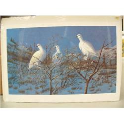 Cross 154/500 Signed Print Large group of Ptarmigans 17" x 28" IS (22)