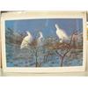 Image 1 : Cross 154/500 Signed Print Large group of Ptarmigans 17" x 28" IS (22)