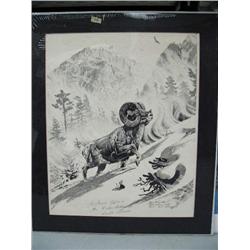 Pen and Ink of a Ram  Print IS 19" x 12" (22)