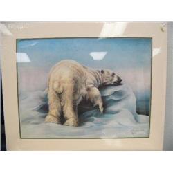 CHOICE on 2:  A  Polar Bear on Ice Flow  Ronnie E. Lynch 469/750   18.5" x 24" (22)