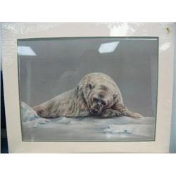 B: Sleeping Polar Bear 185/750 Lynch  Double matted and Shrink wrapped 18" X 24" (22)