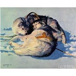 CHOICE on 4 Signed and numbered Fred Machetanz print: 198/950 "First Day in Harness" (700)