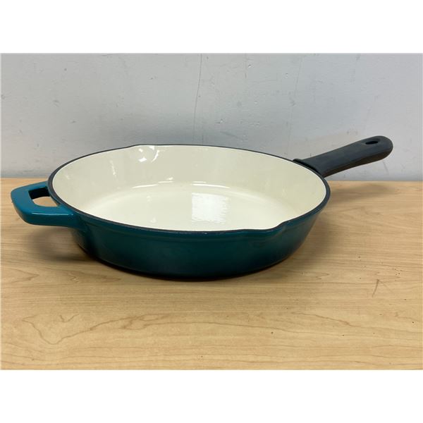 Cast Iron 12" Skillet Frying Pan (Green / Blue as pictured) - light use, see all photos