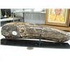 Image 3 : Outstanding 11" fossilized ivory ice axe scrimshawed by Homer Cole mounted on baleen- has 2 wolves o