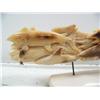 Image 5 : 9" fossilized walrus ivory imported from Indonesian of 15 carved fish (114)
