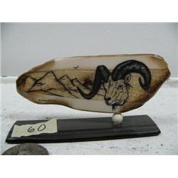 3-3/4" scrimshawed fossilized walrus ivory mounted on baleen of dall sheep by Homer Cole (114)