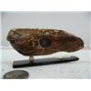 Image 2 : 3-3/4" scrimshawed fossilized walrus ivory mounted on baleen of dall sheep by Homer Cole (114)