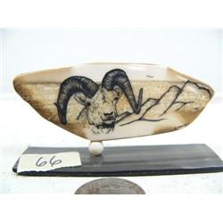 3-3/4" fossilized ivory walrus scrimshawed with dall sheep mounted on baleen by Homer Cole (114)