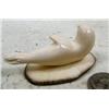 Image 3 : 2-3/4" carved mammoth ivory seal mounted on fossilized walrus ivory by Iglaak of Koyuk (114)