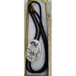 CHOICE on 2 scrimshawed ivory bolo ties by Homer Cole: dall sheep (114)