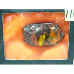 2-1/2" chunk of amber with leaves and bugs (3)