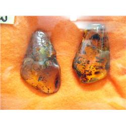 2 two inch pieces of amber- one has bug (3)