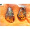 Image 1 : 2 two inch pieces of amber- one has bug (3)