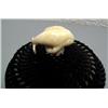 Image 2 : 5" baleen basket with walrus ivory man's face finial by Julian Rentgiger from Barrow, Alaska, 547f (